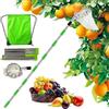 TUIBEIDAMAI Raccogli Frutta con Palo in Acciaio Inox Leggero,2.8m Raccoglitore di Frutta,diametro 16 cmMela Raccoglitrice,Raccogli Frutta da Albero con Testa a Cestello,Raccogli Fichi