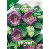 L'ORTOLANO Sementi da fiore di qualità in bustina per uso amatoriale (COBAEA SCANDENS BLUE)