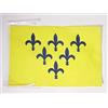 AZ FLAG Bandiera Ducato di Parma e Piacenza 1545-1731 45x30 cm Cordini | Uso interno ed esterno bandiera decorativa doppie cuciture e bordi rinforzati poliestere 100D