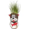 Realizzandoo Testa Erba Che Cresce Gatto - Pianta Capelli Animale Divertente con Vasetto e Ciondolo Pesce - Idea Regalo Originale per Amanti dei Gatti - Decorazione Scrivania Ufficio - Grass Head 12,5 cm