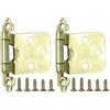 TYDHGSE Cerniera A Molla Autochiudente Americana Da 2 Pezzi Con Viti Sovrapposte For Porte Di Armadietti A Filo(Gold)