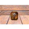 Art Dog Razza Di Cani Polacca ArtDog DE Typ2 - Appendiabiti In Legno Con Immagine Cane