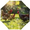 Generic Ombrello compatto da viaggio con galline e gallo, pieghevole in 3 parti, per protezione solare e pioggia, Stile:, Automatic