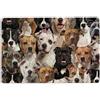 MIAOMANSENSTORE Zerbino Staffordshire Bull Terrier, un mazzo di Staffordshire Bull Terrier Regalo personale per gli amanti dei cani Zerbino di benvenuto decorazioni casa Regali