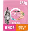 Purina ONE BIFENSIS Junior 1-12 Cibo per gatti, gattino, secco, ricco di pollo, confezione da 6 (6 x 750 g)