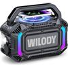Wilody ltoparlante Bluetooth portatile wireless,cassa bluetooth portatile con bassi profondi da 100 W,potente IPX7,con ricarica wireless,20 ore di riproduzione,ingresso TF/AUX/Type-C,RGB,TWS,BT 5.3,(L-Nero)