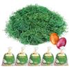 COM-FOUR® 5x erba verde per nidi pasquali - decorazioni pasquali fai da te per cestini pasquali - circa 25 g per sacco (Set1 - Erba verde per Pasqua - 05x)