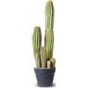 AntHousePlant Cactus artificiale grande cactus finto 61 cm piante di cactus finto per casa giardino ufficio negozio decorazione