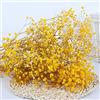 YIWOYI Bouquet di fiori secchi naturali, Gypsophila paniculata, ideali per feste di nozze o decorazione della casa, 30-40 cm, 30 g, giallo