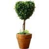 Generic Albero di verde artificiale a forma di cuore con vaso, topiaria di bosso a forma di cuore, pianta artificiale a bassa manutenzione per la decorazione d'interni della casa, styling da tavolo e mensola