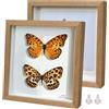 Houstimi Cornice portafoto 3D in legno scuro, quadrata, 20 x 20 cm, confezione da 2 pezzi, realizzata in legno massiccio e vero vetro, profondità 1,5 cm