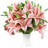 Ikosora 12 Pezzi Di Fiori Di Giglio Artificiale Rosa, Giglio Realistico A Stelo Lungo, Vero Tocco Di Giglio, Fiore Di Giglio Finto Per La Casa, Festa, Matrimonio, Giardino, Decorazione Artigianale Fai Da Te