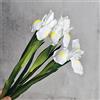 huaao 3PCS Fiori di Iris Artificiali Finti in Lattice, Steli Lunghi, Decorazione per Bouquet da Sposa Matrimoni Fai da Te, Composizioni Floreali Bouquet di Nozze Casa Feste Tavolo, Bianco