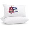 Flowen Cuscini Letto Coppia di Guanciali 40x70 per Dormire Imbottitura Standard Antiacaro Anallergico Traspirante Rettangolare per Matrimoniale Singolo con Federa Trapuntata Lavabile