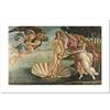 Niik Stampa nascita di venere di sandro botticelli 80 x 50 cm falso d'autore su tela