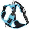 Bobby Rando Walk - Pettorina per cani Taglia S, in Nylon Riflettente, Fibbie Regolabili a Chiusura Sicura, Facile da Indossare, Blu Girocollo 32-48 cm, Giropetto 40-52 cm
