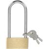 PATIKIL Lucchetti in Ottone Massiccio 2.6, 1 Pz Chiave Differente Lucchetto a Lungo Arco con 2 Chiavi Impermeabile per Armadietto Palestra Cancello Recinto Esterno Interno