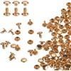 QUARKZMAN 100 Set Rivetti in Pelle Doppia Cappuccio, 6x6mm Tondo Rivetto Tubolari a Vite per Cuoio Chicago Metallo per Pelle Cintura Tessuto Borsa Riparazione Decorazione, Oro Chiaro