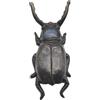 Generico Levastivali In Ghisa - 22.1x9.7x4.9cm | Estrattore Robusto Per Stivali | Calzante Scarabeo Scarpe Cowboy Resistente Lavoro Equitazione Esterno Comodo Veloce Utile