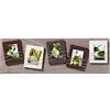 walther design walther cornice design marrone 5X 8x11 cm galleria in legno con cordino come portafoto, La Casa YO581P