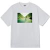 OBEY Uomo Obey T Shirt Regular Fit Skateistan Obey Foto