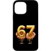 Gamer Milestone Triumph Sarcastic Humoro Custodia per iPhone 13 Pro Max Funny 67 Melting Gold Celebration Detto