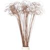 PATIKIL Ramo Arricciato, 60 Pz Rami di Salice Naturali Essiccati Rametti Alberi di Natale Ornamenti per Casa Cucina Matrimonio Fai da Te Artigianato Ghirlande Vasi Decor Regalo, Legno