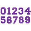 PATIKIL Numeri Ricamati Adesivi, 10 Pezzi Numeri 0-9 Applicazione Ricamo Patch Cucire Decalcomanie con Adesivo A Caldo 4.5 Cm per Abiti Vestiti Jeans Scarpe Cappello DIY, Viola