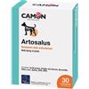 CAMON SpA V ARTOSALUS 30 CPR G876/A