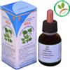 HERBOPLANET Srl MSA TILIA TOMENTOSA (Tiglio argentato) - Herboplanet - Flacone da 50 ml - Integratore alimentare che aiuta a ritrovare la coscienza