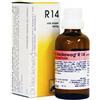 DR.RECKEWEG & CO. RECKEWEG R14 GOCCE 50ML