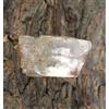 Specimen 76,30 Ct Topazio Naturale Giallo Dorato Grezzo T36419
