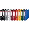 Esselte, 10 Raccoglitori ad Anelli con meccanismo a leva Formato A4, Raccogli documenti con Dorso 75 mm, Capacità 550 fogli, Portaetichette personalizzabile, Foro di presa, Colori Assortiti, 624177