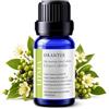 ORANTUS Olio Essenziale di Litsea Cubeba 10ml Alimentare Puro 100% Naturale - May Chang per Diffusore Aromaterapia Massaggi Ambiente Profumo Agrumato Concentrato