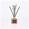 E.F.A.S SPA Efa S Colors Diffusore Ambiente Verde Flower Bloom Energizzante 50 ml