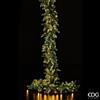 Enzo De Gasperi, EDG EDG ENZO DE GASPERI FESTONE PINO LUX. 170LED GREEN L270