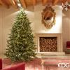 Enzo De Gasperi EDG ENZO DE GASPERI PINO LUXURY H240 C/5000LED GREEN D152