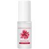 Moroccanoil Brumes du Maroc Dahlia Rouge Profumo per capelli 30 ml