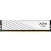 ADATA Lancer Blade memoria 32 GB 2 x 16 GB DDR5 5600 MT/s 288-pin DIMM Data Integrity Check (verifica integrità dati) - AX5U5600C4632G-SLABWH