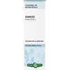 ERBA VITA GROUP SpA GINKO BILOBA Sol.Ial.50ml EBV