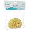 LABORATORIO SILVANA Srl SILVANA Spugna Nat.12-13cm