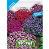 L'ORTOLANO Sementi da fiore di qualità in bustina per uso amatoriale (AUBRETIA NANA IN MISCUGLIO)