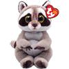 TY Beanie Bellies Petey Il Procione con Gli Occhioni Dorati Glitter, i Coccolosi Animaletti di Peluche con Il Pancino Morbido Originali TY 20 Cm T41284