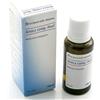 GUNA S.P.A. ARNICA COMP 30 ML GOCCE HEEL