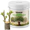 BIOEXXE Mastice 500 gr Per Innesti E Potature - Cicatrizzante Per Piante con Resine Vegetali, Mastice Cicatrizzante Per Potature E Ferite, Pasta Protettiva Ferite Vegetali Uso Giardino Orto Bonsai