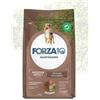 Forza10 Maintenance per Cane Adult Medium all'Agnello da 12 kg
