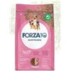 Forza10 Maintenance per Cane Adult All Breed al Maiale da 12 kg