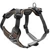 HUNTER pettorina per cani DIVO, Colore: marrone/grigio, ergonomico, traspirante e imbottito, regolabile in 5 punti, materiale riflettente 3M™ Scotchlite™, Taglia: XS