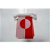 AZ FLAG Ghirlanda 6 Metri 20 Bandiere Groenlandia 21x15cm, Bandiera Danese 15 x 21 cm - Festone Bandierine