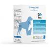 Dynamopet DìTe 20 bustine 2,5 gr